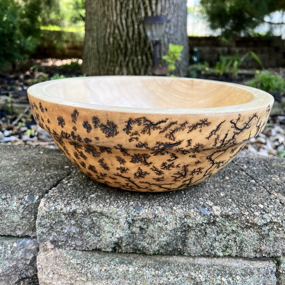 Fractal Burn Cottonwood Gorgeous Large Decorative Bowl Signed Lichtenberg 12.5"